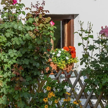 Frühstückspension Hotel-pension Schwarzenhof